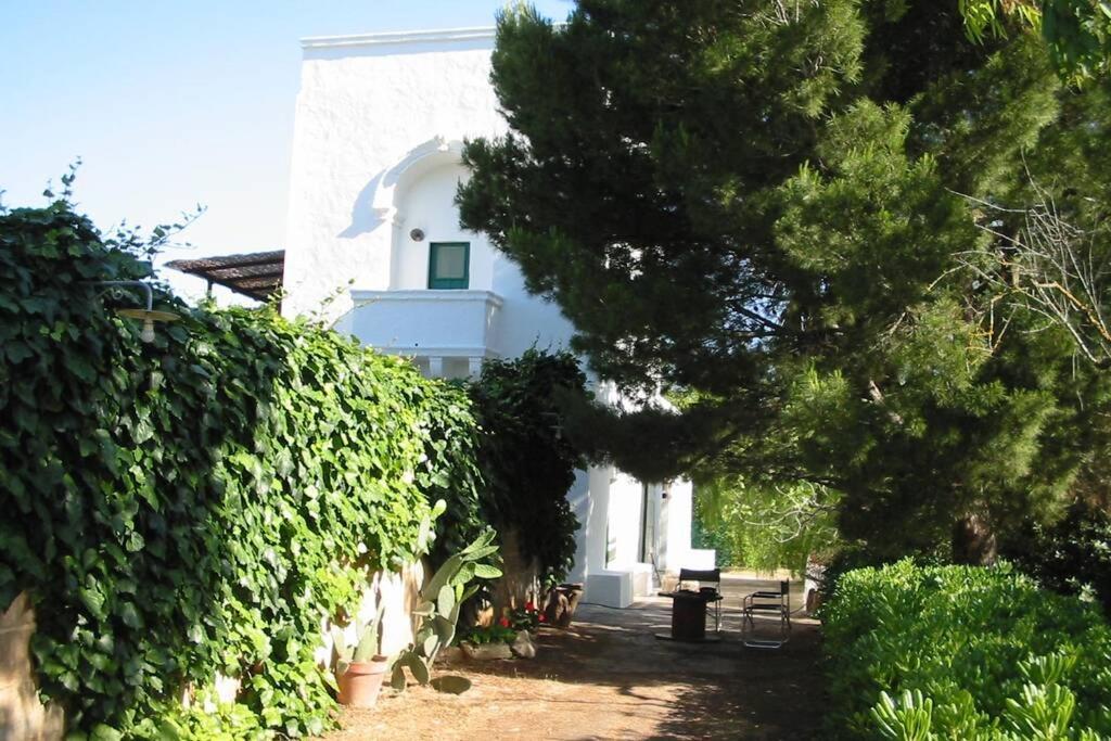 Casa Colonica Villa Gallipolli Exteriör bild